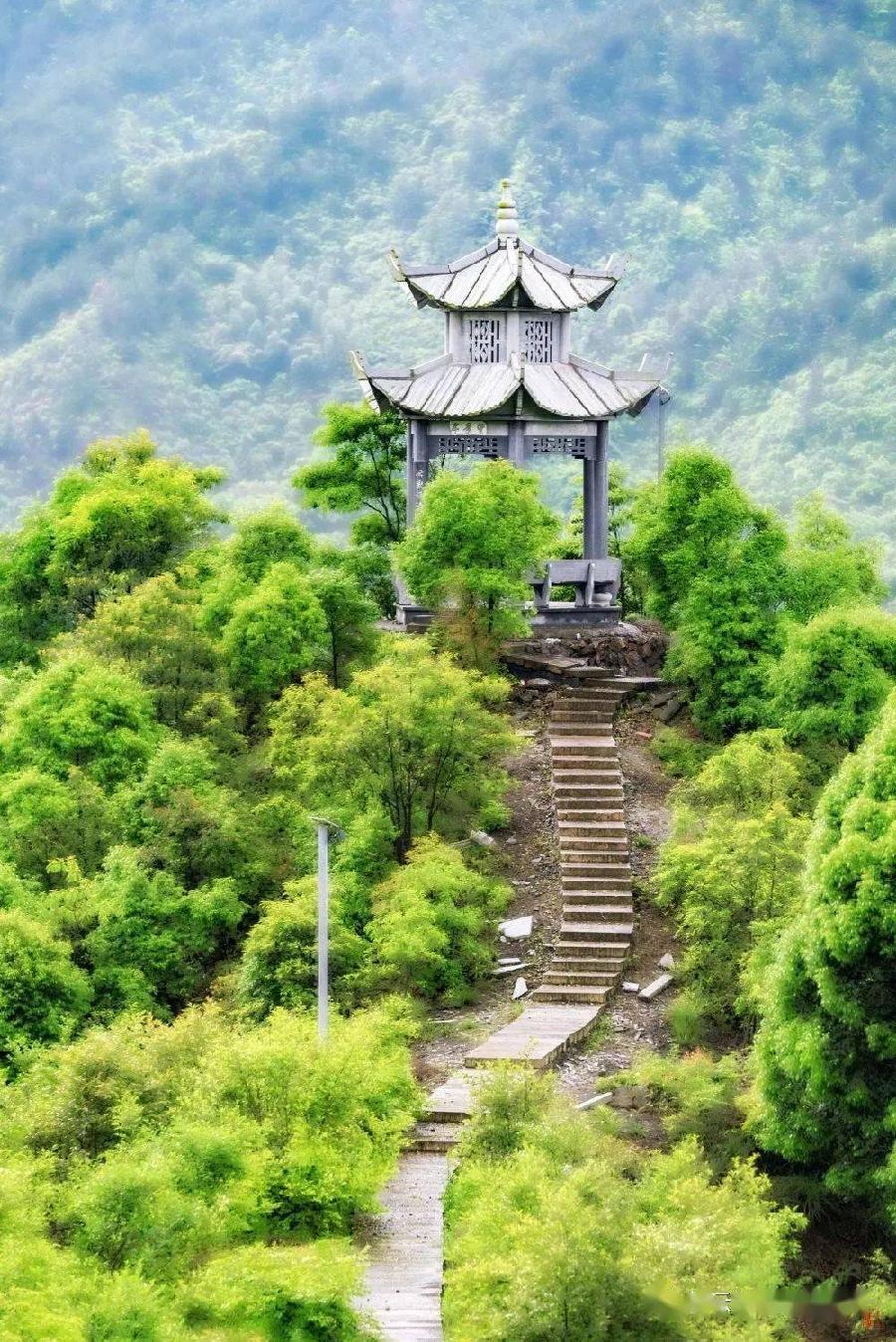 【新山东文学社】《七律.花楼山下有人家（五首）》作者/张君嘉 主播/红叶（图8）