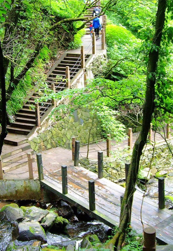 【新山东文学社】《七律.花楼山下有人家(五首)》作者/张君嘉 主播/红叶(图5)