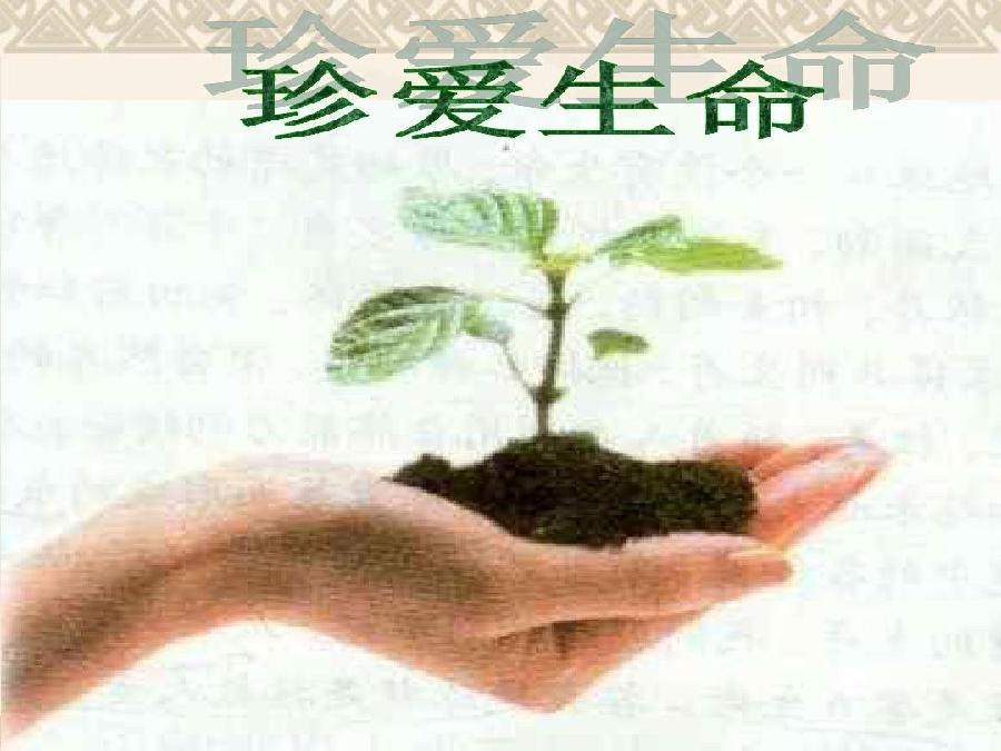 【新山东文学社】《健康赋》作者/孙述考 主播/小小鸟(图4)