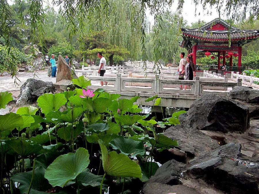 潘毅夏日七律诗六首（图3）