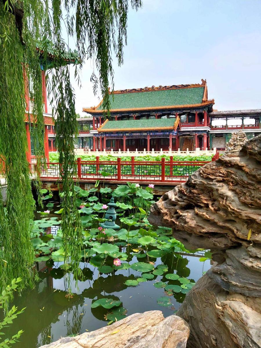 潘毅夏日七律诗六首（图6）
