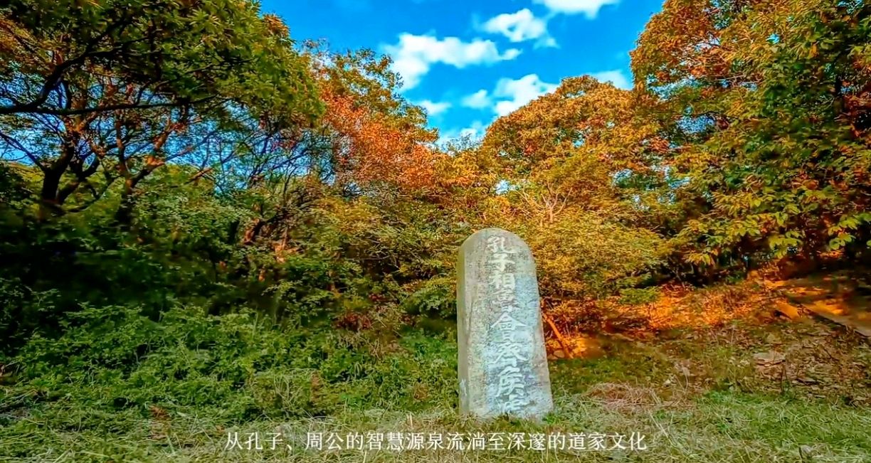 【荣耀中国】呼和浩特分社步韵蒋贵龙老师《同头诗、春夏秋冬(四首)》王茹（安徽）（图8）