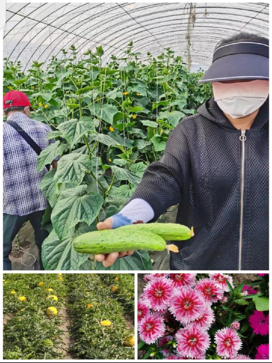 军休老人在万康（古风）作者:原金荣（图2）