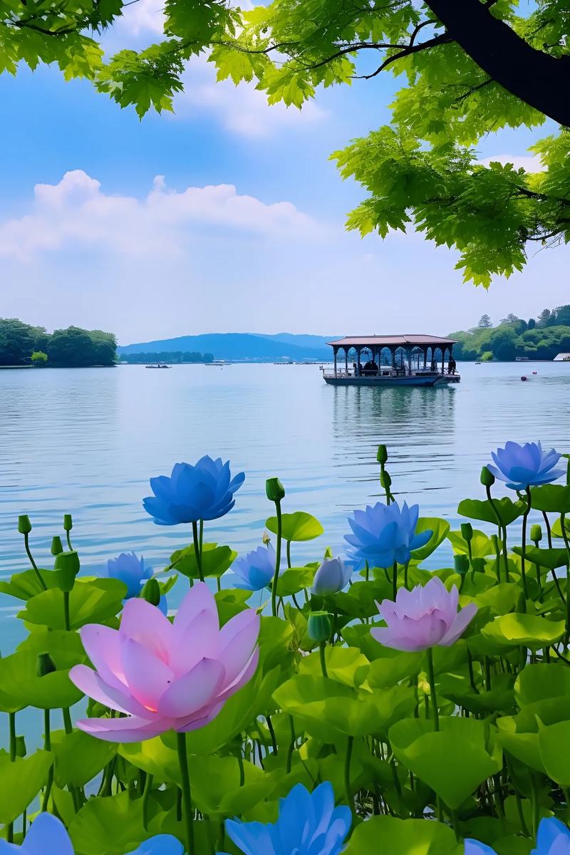 夏日时光（外二首）诗||苏珊（图9）