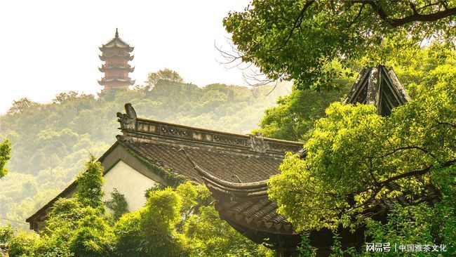欣赏郑金波老师自由诗·《心灵的赞歌》（图4）
