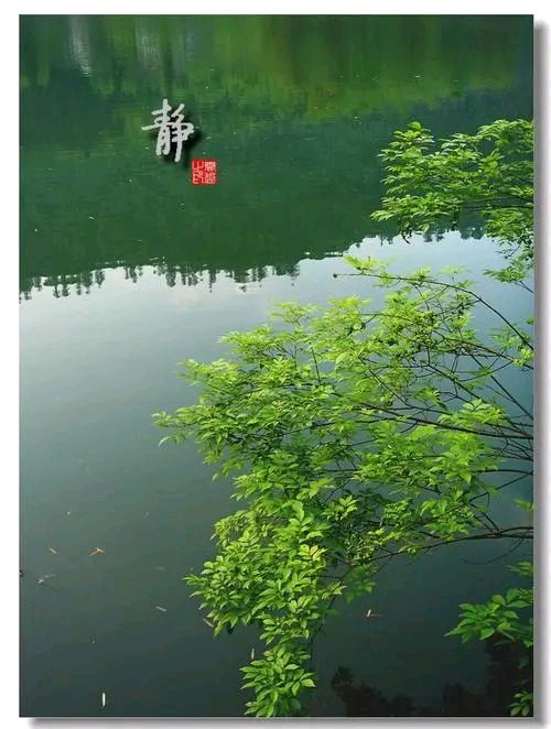 欣赏郑金波老师自由诗·《心灵的赞歌》（图3）