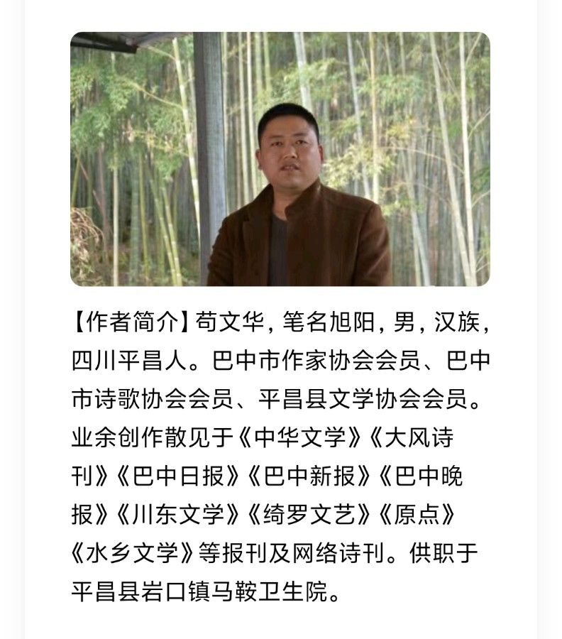 【诗生活】旭阳微型诗专辑（图2）