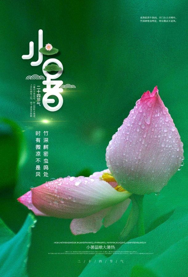 《九江文学社：北京头条》《九江文学社》《甲辰小暑节气》专刊（图2）