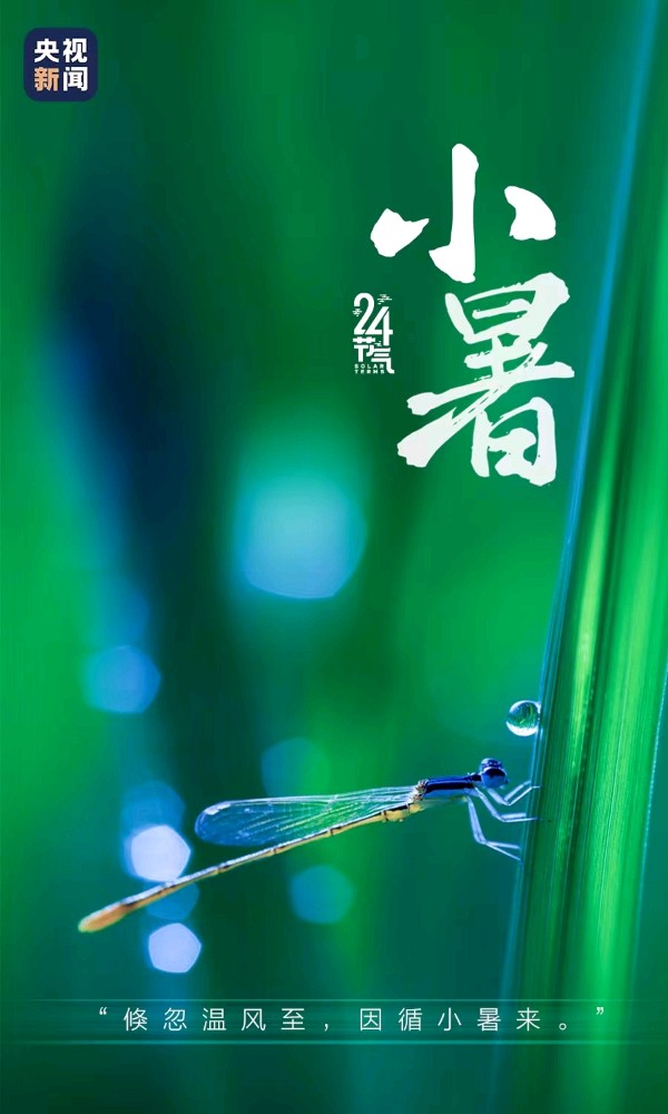《九江文学社：北京头条》《九江文学社》《甲辰小暑节气》专刊（图9）