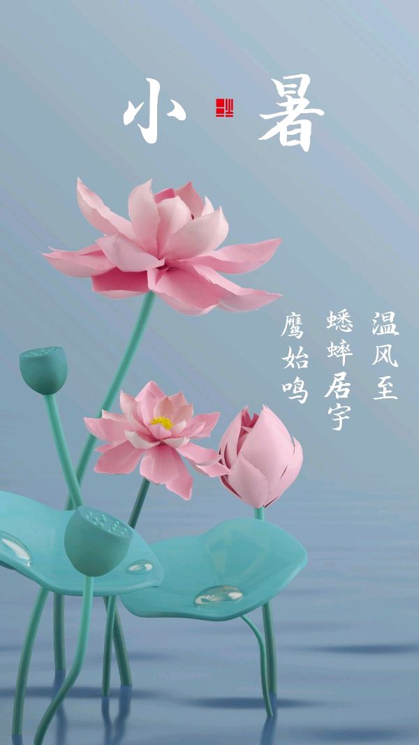 《九江文学社：北京头条》《九江文学社》《甲辰小暑节气》专刊（图11）