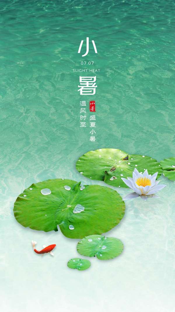 《九江文学社：北京头条》《九江文学社》《甲辰小暑节气》专刊（图6）