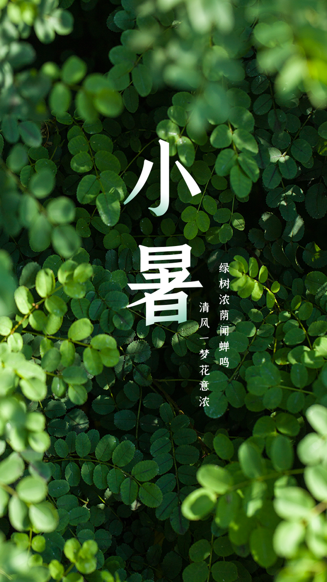 七律-小暑吟怀（组合）诗||于兴庆（图8）