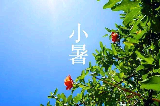 …小…暑…节，二…首… 文／王铁忠（图4）