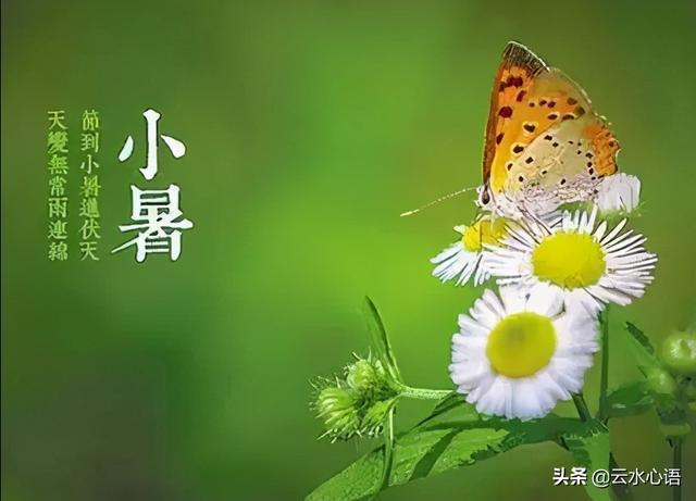…小…暑…节，二…首… 文／王铁忠（图5）