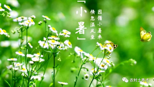 …小…暑…节，二…首… 文／王铁忠（图3）