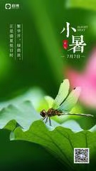 七律·甲辰小暑（文/冯清明）……莲叶之珠文学社