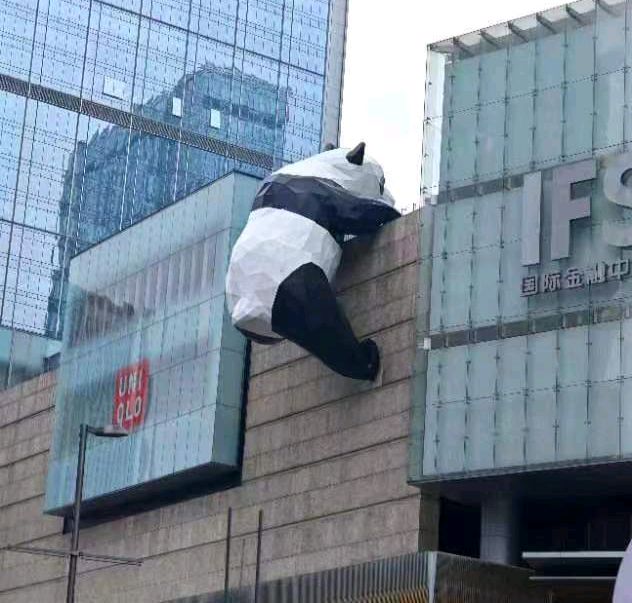 老菩提朗诵当代资深作家、诗人洁心作品《成都～熊猫》（图2）