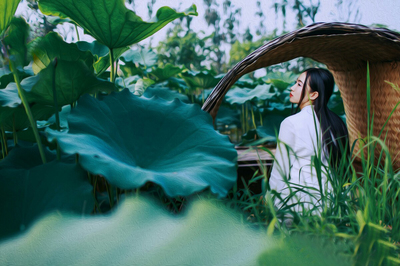 七绝-夏雨情～诗||马文智（图16）