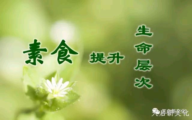 《现代诗人心境创作诗词二首》作者：心境 配乐：《诗画音乐》 [中国现代诗歌文化传媒]（图5）