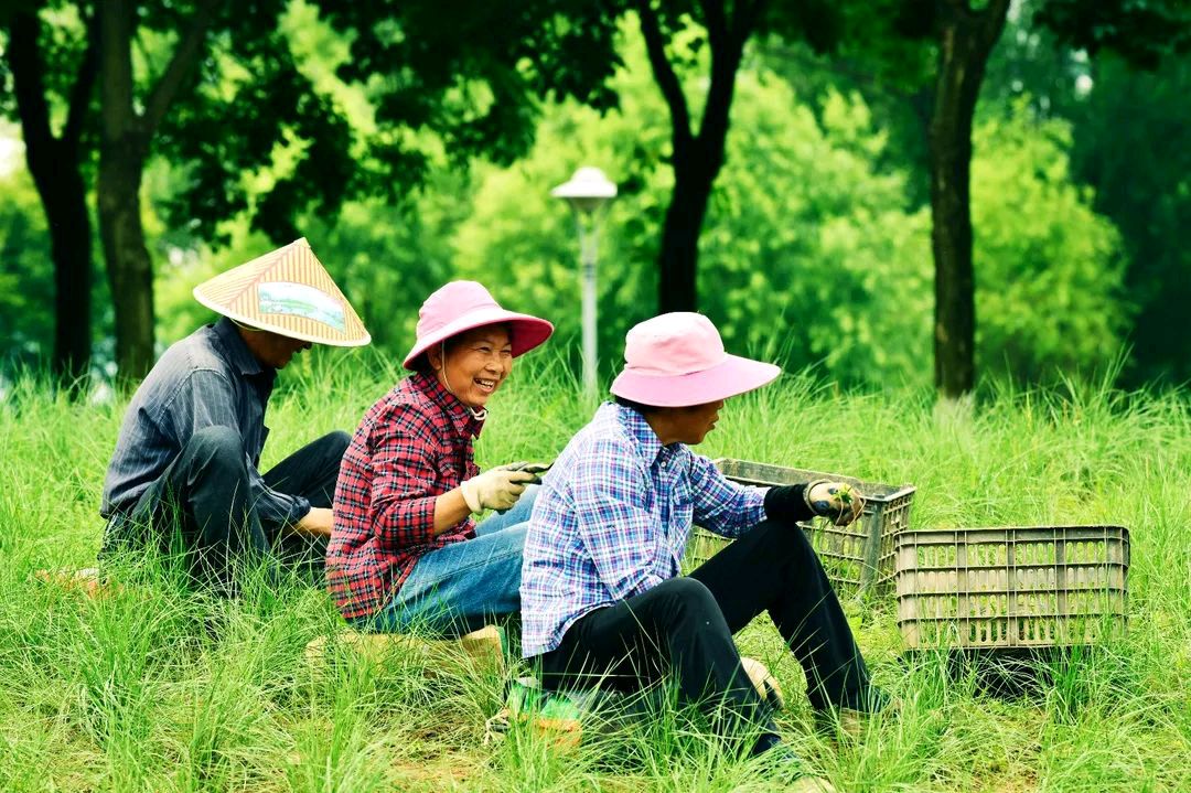 散文《故乡的味道》刘连芳（图6）