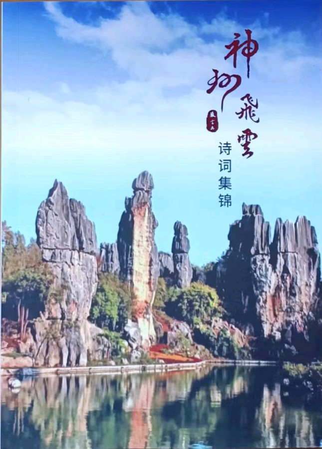 【荣耀中国】 神州飞云诗词集锦 张言（南京）（图2）