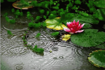 【侃篱笙文媒】连日降雨文/武可强（山东临沂）（图3）