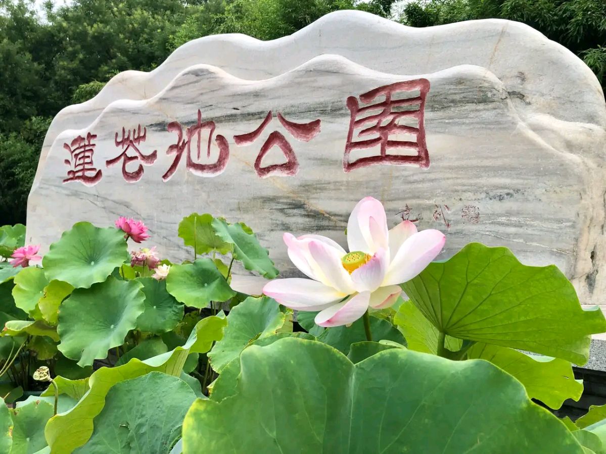《何全兴诗词新作品赏析》作者:何全兴 配乐:《诗画音乐》 [中国现代诗歌文化传媒]（图7）