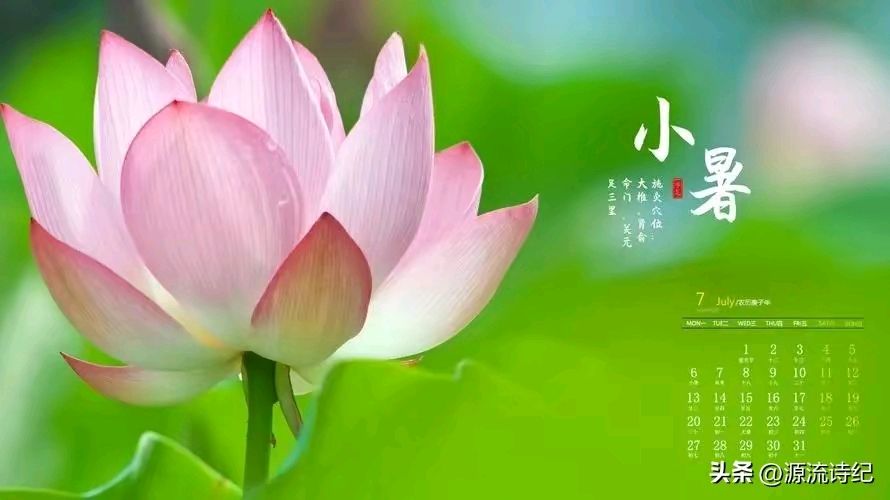 【神州源流诗苑】第1202期佳词《都市头条》周刊(图7)