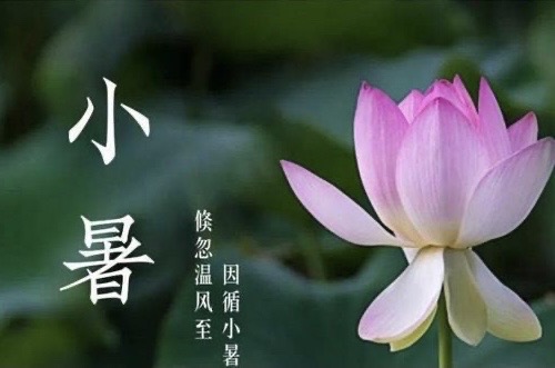 【新诗大观】小暑||文/秦志红（图3）