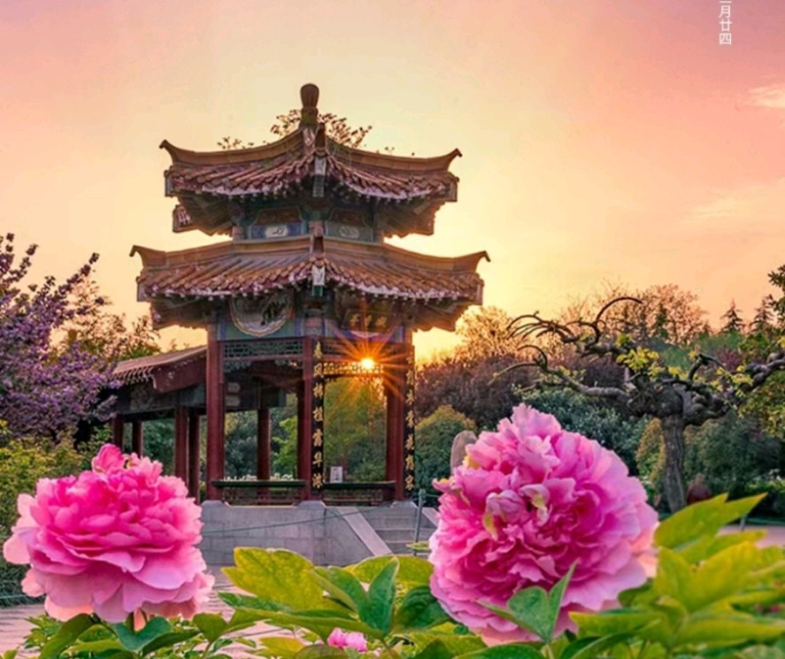 书香洛阳润心田