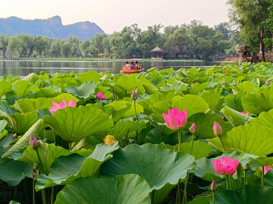 避暑山庄游 文/北极星（图2）