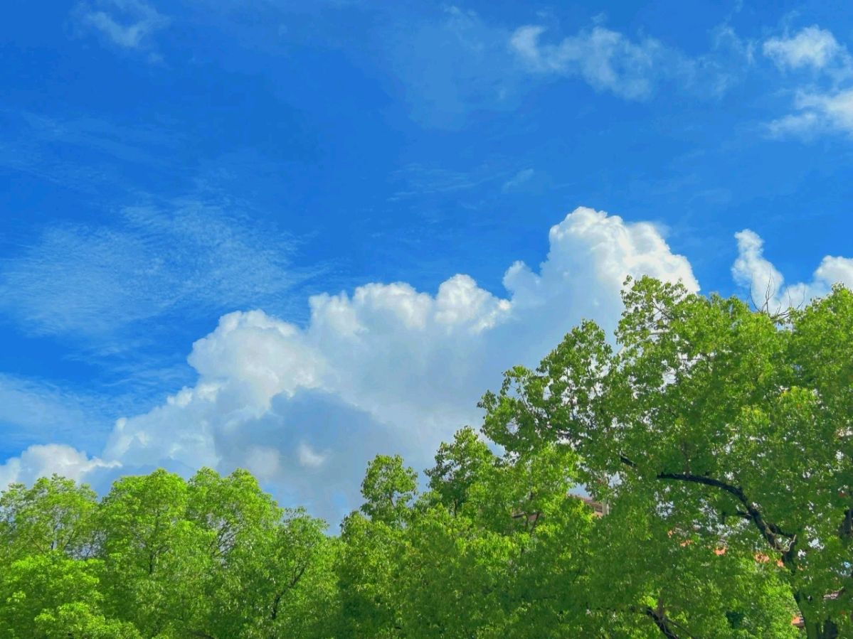 《夏日里的蔚蓝》文/林水火（福建）（图3）