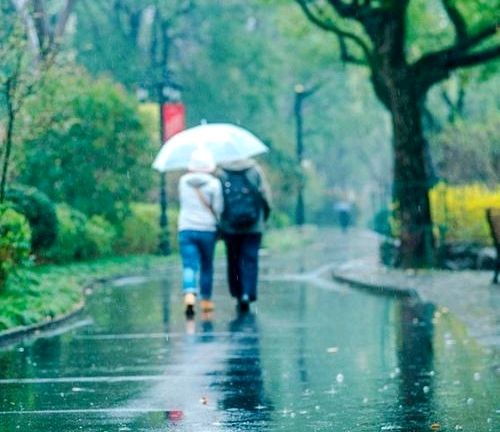 恰恰风雨翩翩来