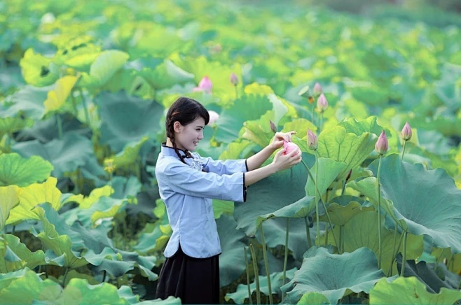 七绝-咏荷（三首）诗||旗袍（图15）