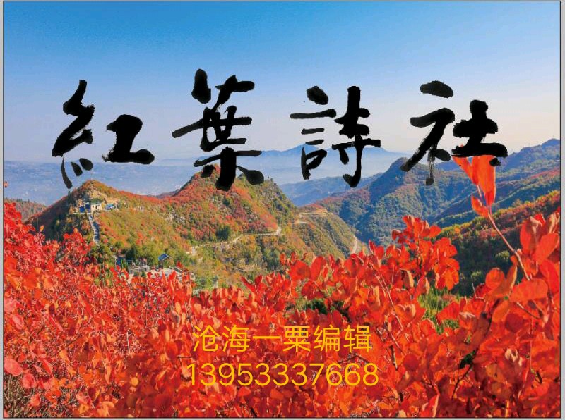 孟凡爱(木槿花)律诗四首（图6）