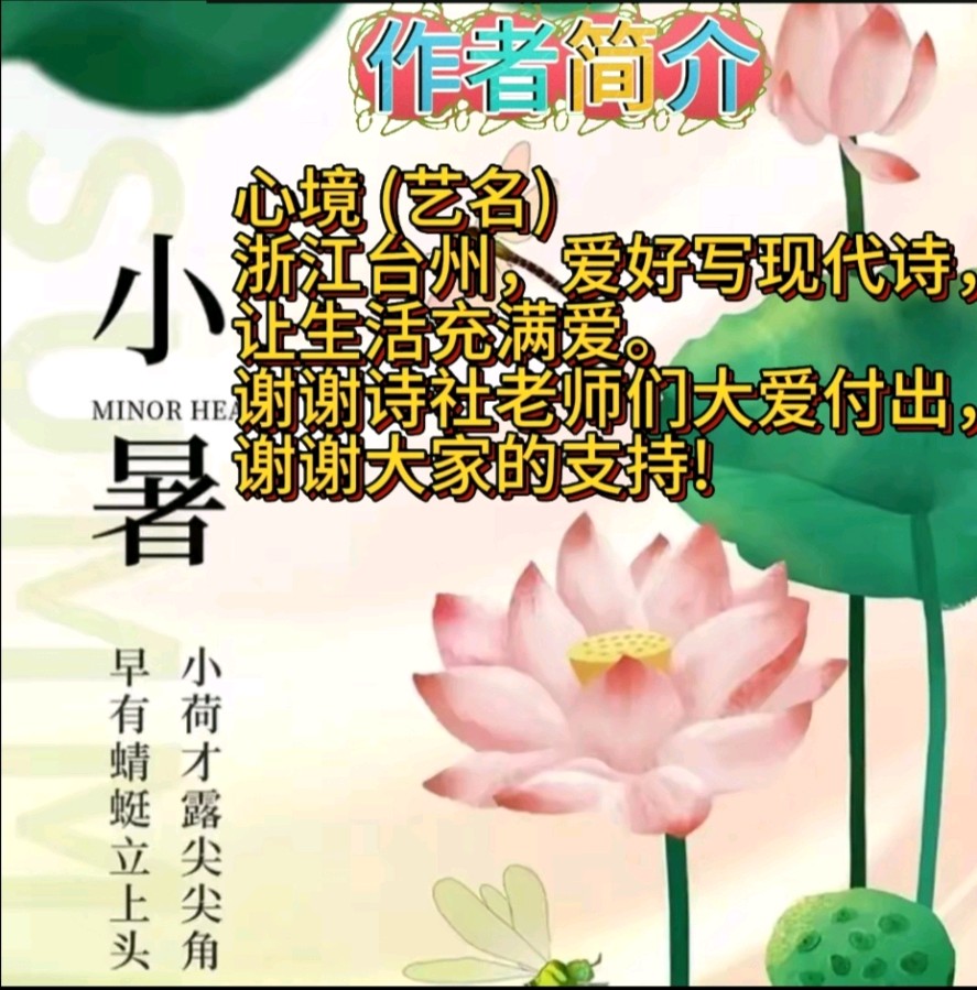 《现代诗人心境作品赏析》作者:心境 配乐:《诗画音乐》 [中国现代诗歌文化传媒]（图8）