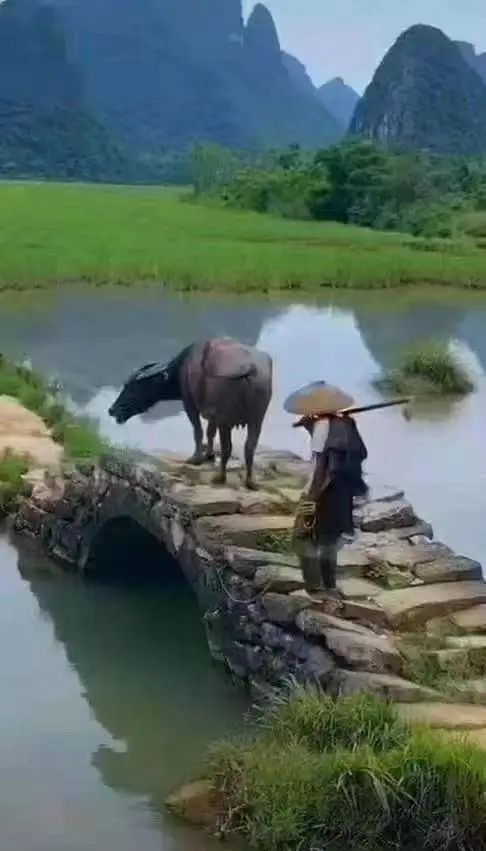 为赶牛老翁图片配诗～诗||李耀文（图13）