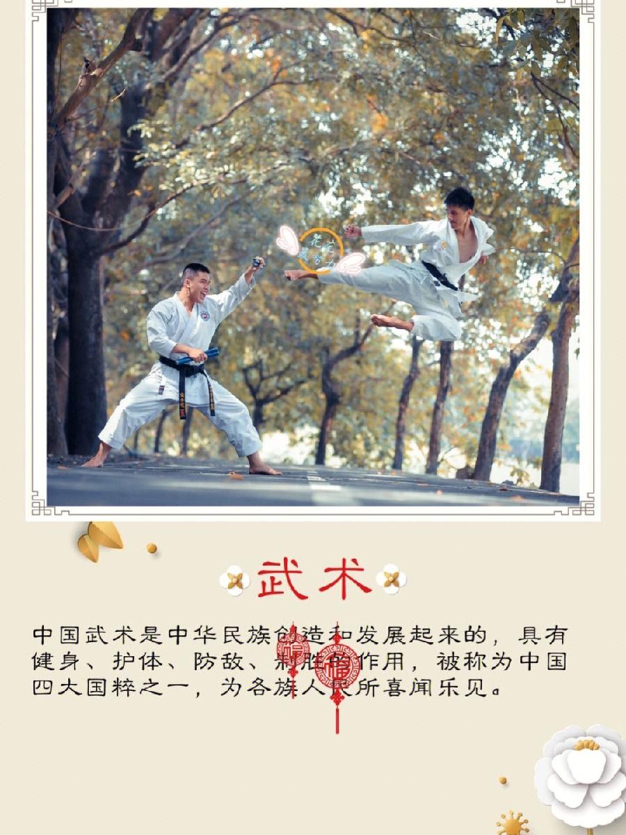 【中华荣耀（赏析）】七律 中国四大国粹（新韵）文/赵子玉（河北邢台）（图5）