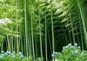 【北京头条】分享（湖北）诗人胡清普《回忆》请欣赏（图8）