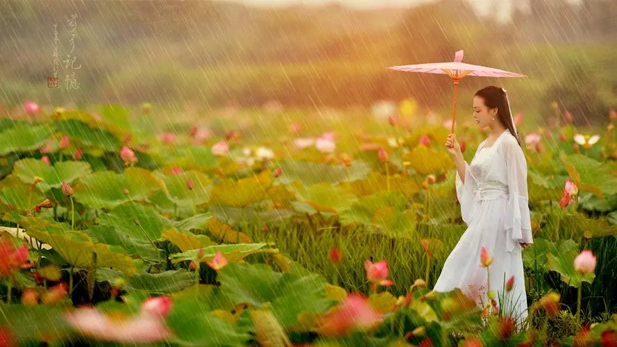 雨中的荷塘～诗||旗袍（图14）
