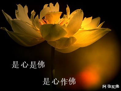 【新山东文学社】《家家都有佛》作者/田歌 主播/梅妃(图5)