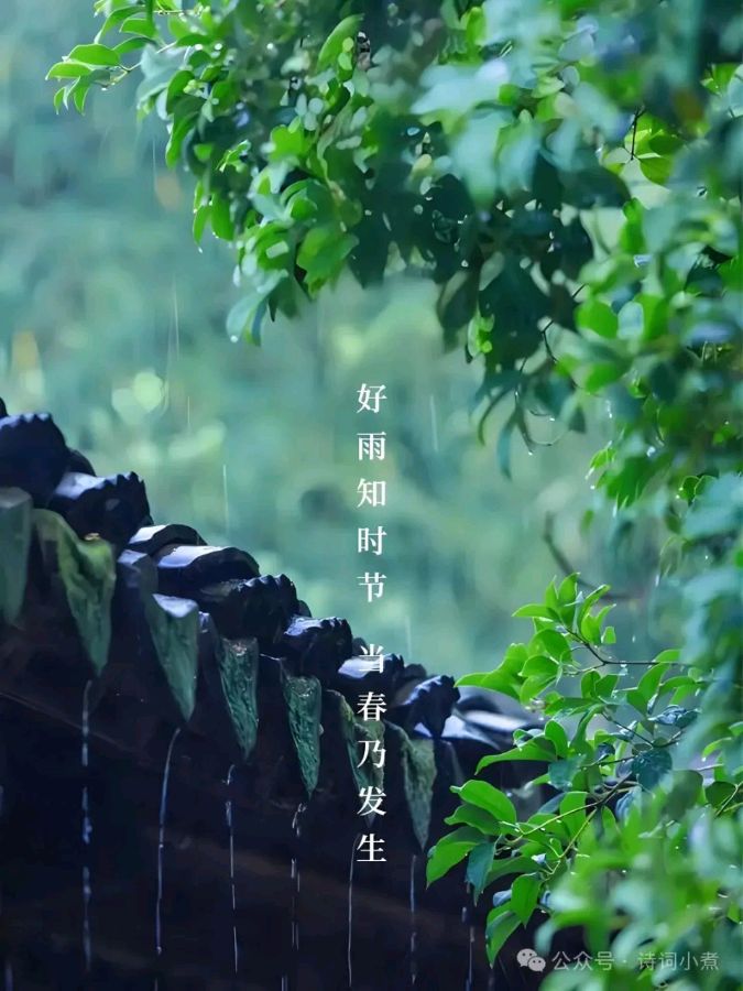 欣赏唐增虎老师《拂霓裳》·咏雨（图2）