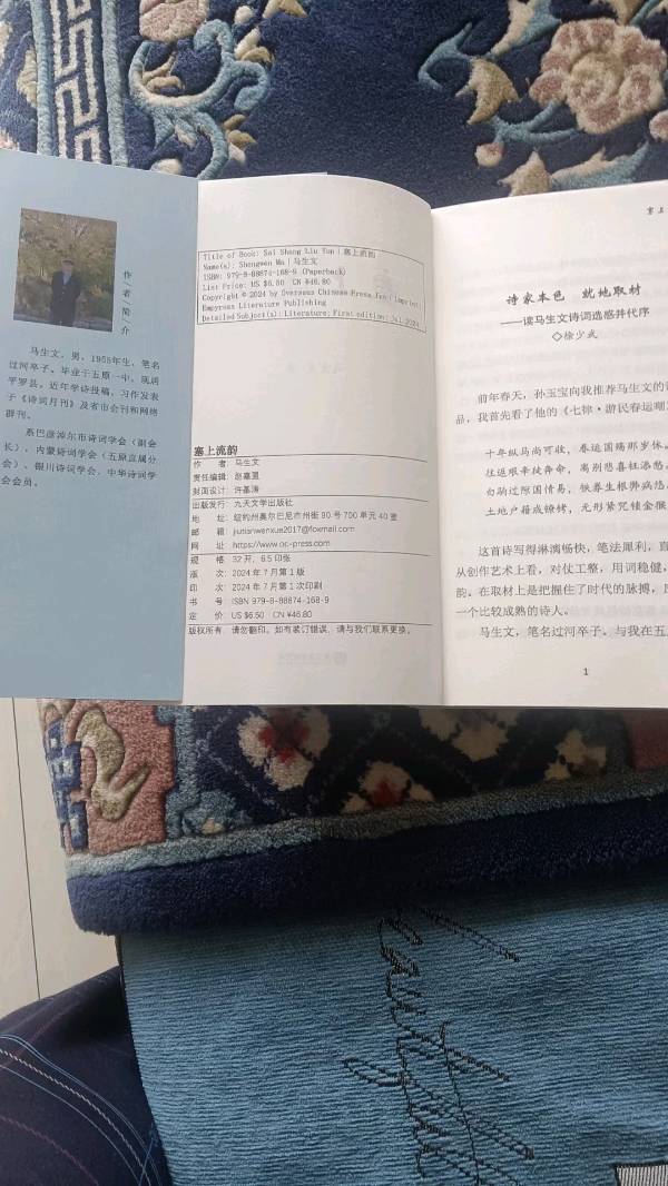 作者：马生文（过河卒子）《七律.题辣眼视频》《七律.感吟拙作成册》10721期~新京都文艺