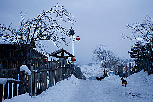 张家祥《与雪共舞》主播:花蕊；编辑:开心快乐【运河之春】(第167期)（图8）