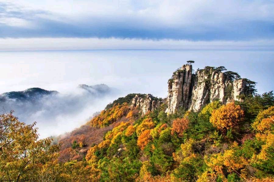 欣赏后山月樵老师无名诗（图7）