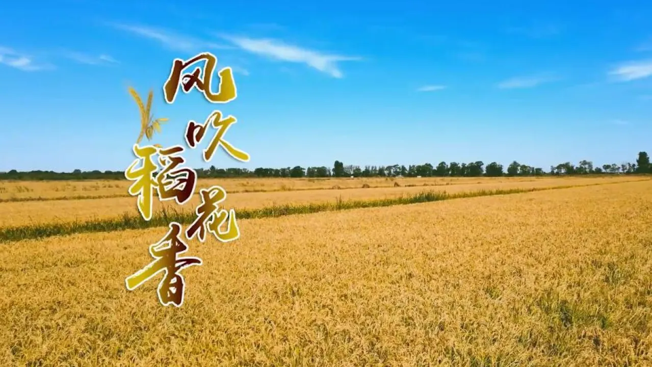 【北京头条】分享（湖北）诗人胡清普老师《又见今年稻花香》请欣赏（图4）