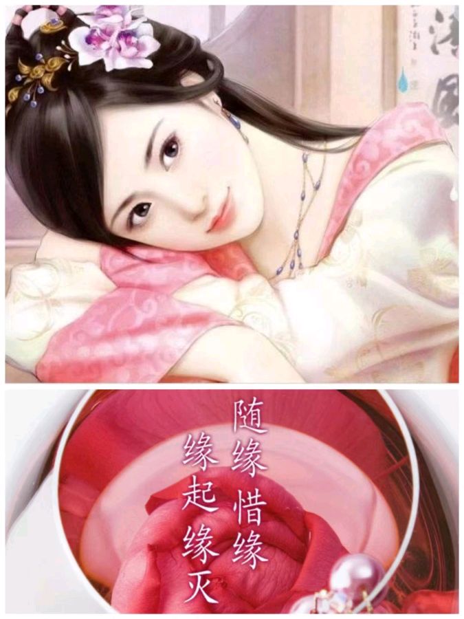 韩庚的《随缘》