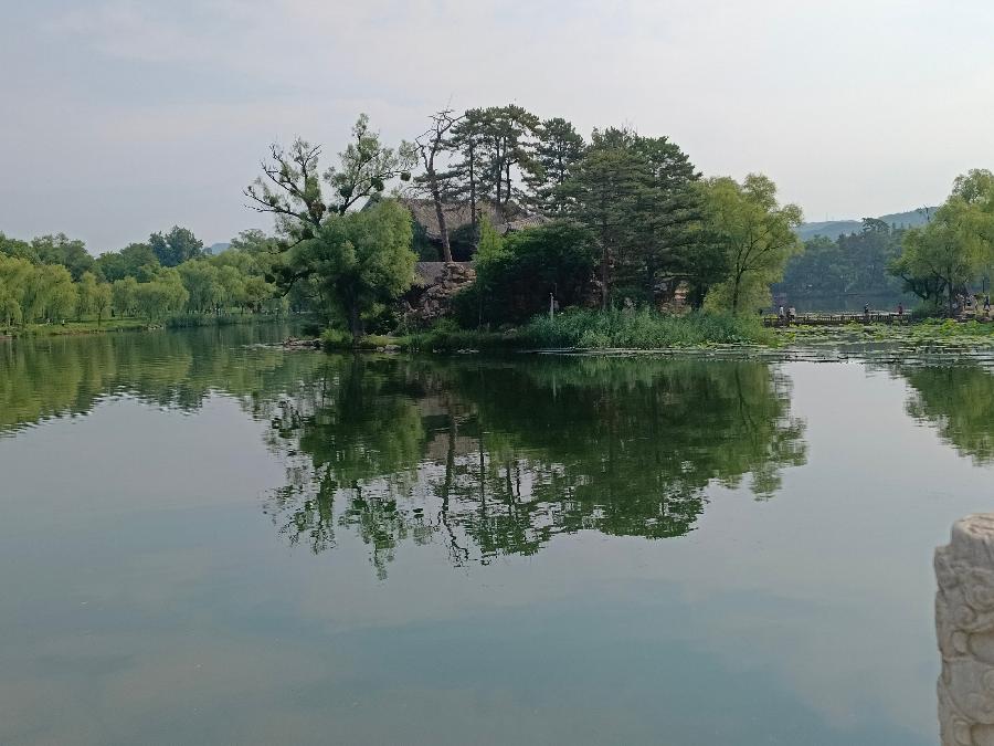 【中华荣耀组诗】七律·荷塘颂歌（十首）文/刘光华（重庆野布）（图3）