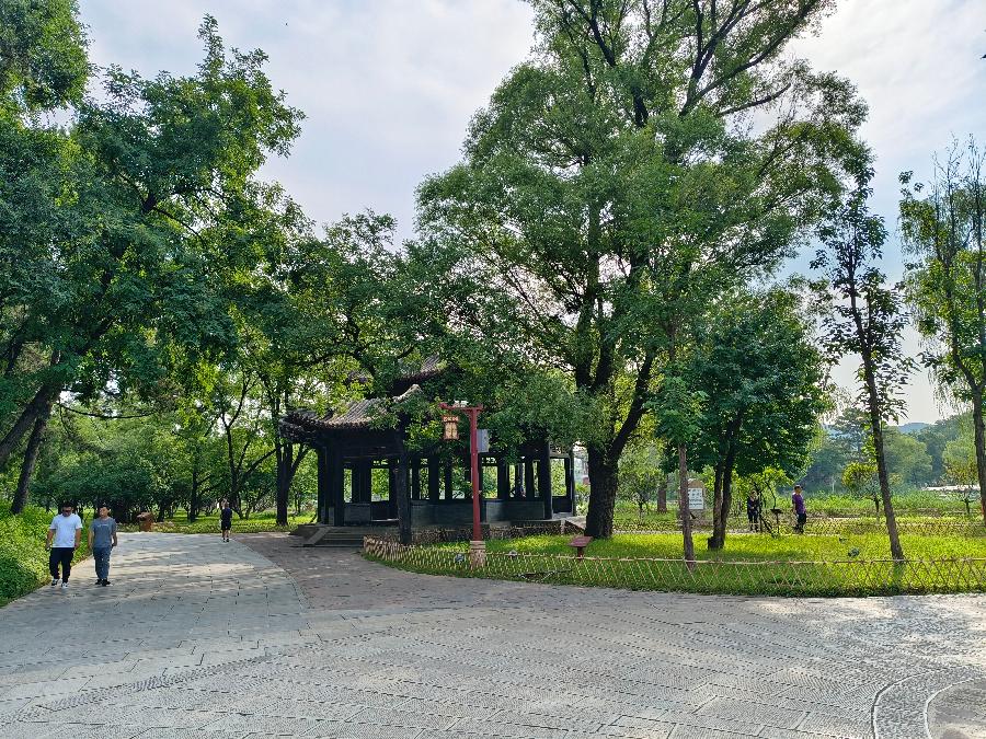 【中华荣耀组诗】七律·荷塘颂歌（十首）文/刘光华（重庆野布）（图10）