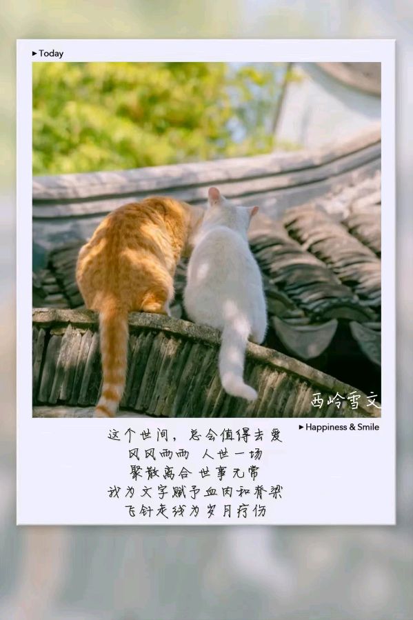 总会值得去爱 －－西岭雪（图3）